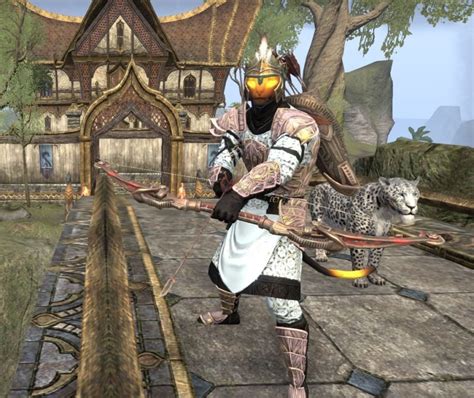 eso stamplar|eso best stamplar build.